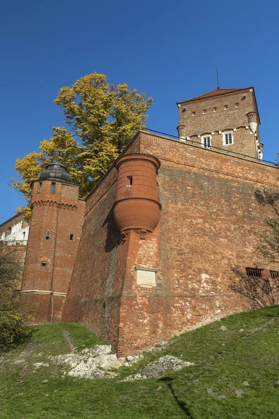 Sur Wawel Kalesi — Stok fotoğraf