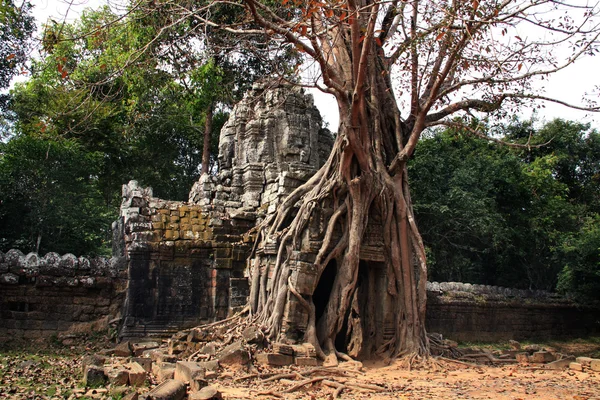 Angkor wat — Φωτογραφία Αρχείου