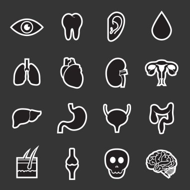 insan organlarını simgesi