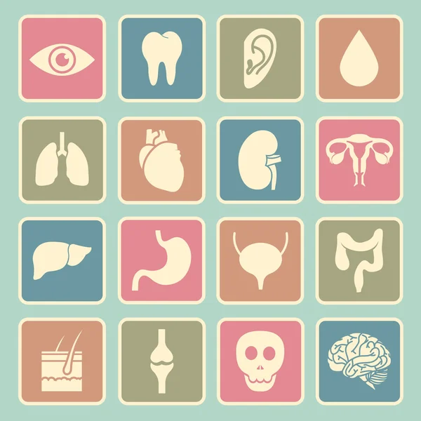 insan organlarını simgesi