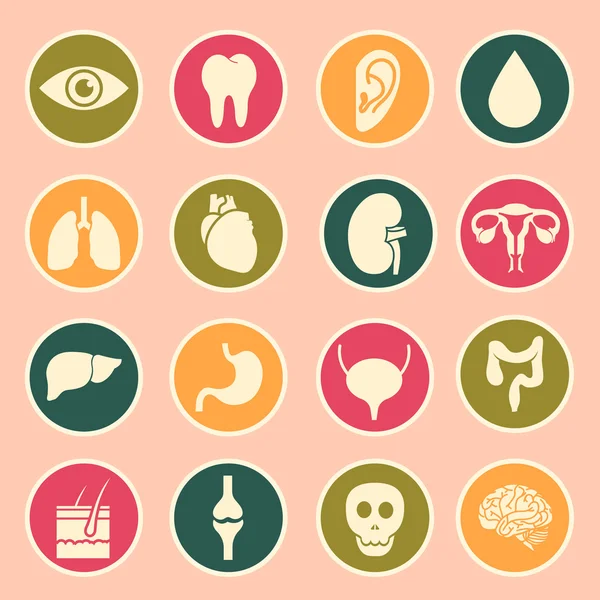 Human organs icon — Stock Vector