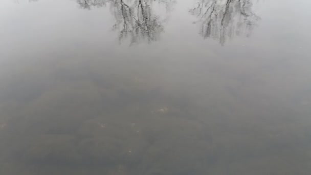 Con vistas a un río con agua clara, reflejos de árboles, primeras gotas de lluvia — Vídeos de Stock