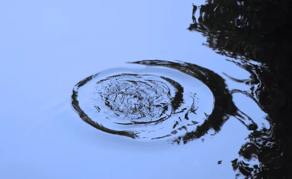 Onde d'acqua circolari su un lago — Foto Stock