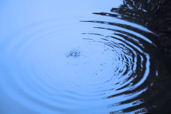 Olas circulares de agua en un lago — Foto de Stock