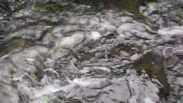 ruisseau bruyant ondulant avec de grosses pierres 