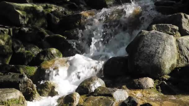 Быстро текущей воды возле водопада — стоковое видео