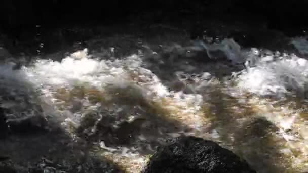 Быстро текущей воды возле водопада — стоковое видео