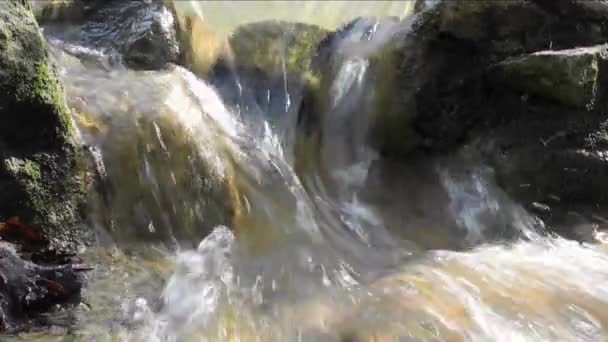 Gyorsan áramló víz közelében egy vízesés — Stock videók