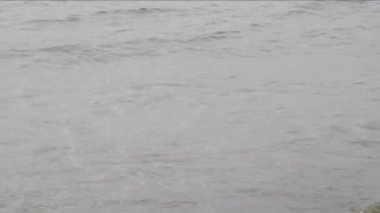 su kenarında yakınındaki küçük su dalgaları