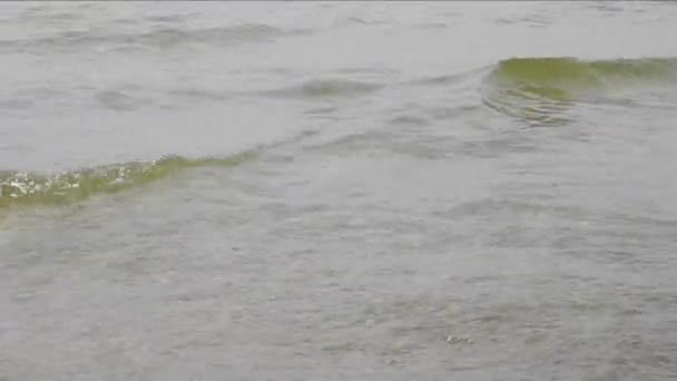 Petites vagues d'eau près du bord de l'eau — Video