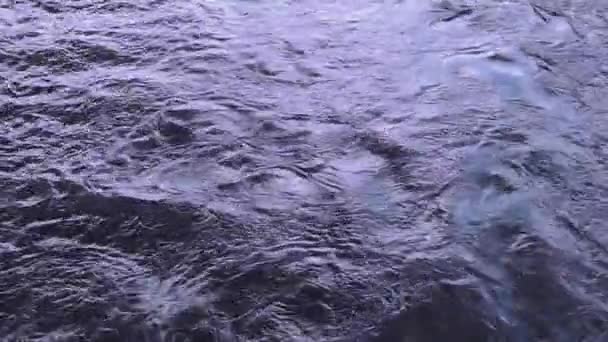 Increspature d'acqua alla luce del sole su un fiume con traffico marittimo — Video Stock