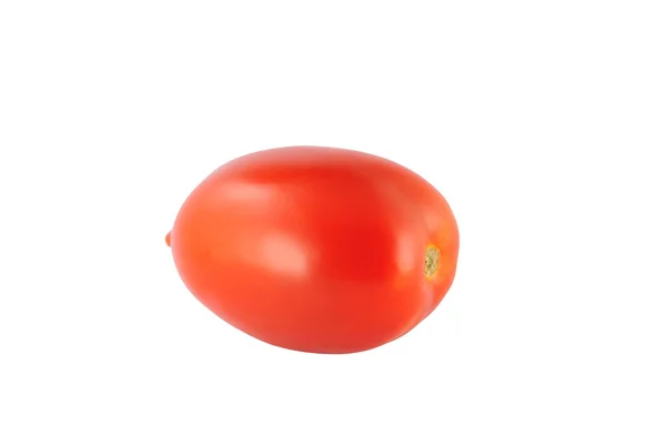 A single tomato - Roma (Solanum lycopersicum) — Stock Photo, Image