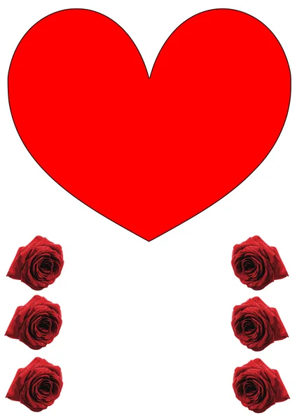 Großes, rotes Herz, weißer Hintergrund und sechs rote Rosen — Stockfoto