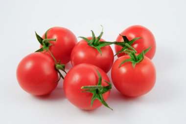 six vine tomatoes (Solanum lycopersicum)