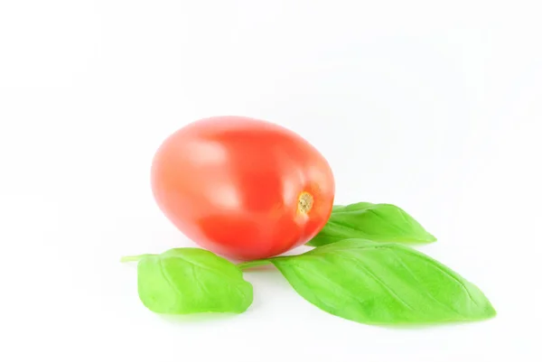Tomato (roma - solanum lycopersicum) with green leaves - on white background — Stock Photo, Image