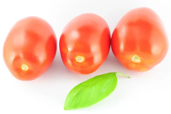 Three tomatoes (roma - solanum lycopersicum) with green leaves - on white background — Stock Photo, Image