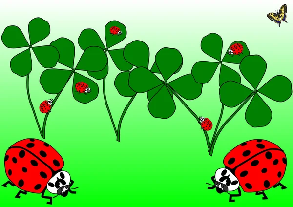 Lady beetles and some clover leaves — Stock Photo, Image