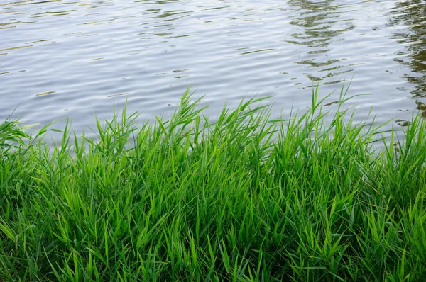 Yeşil İdil Nehri üzerinde — Stok fotoğraf