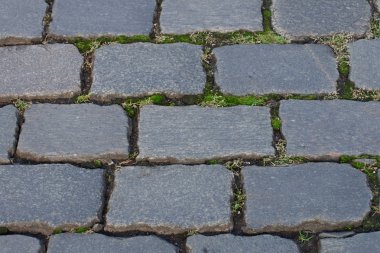 Arnavut kaldırımı Taş döşeme