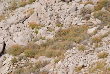 Hırvatistan Pag Island üzerinde kayalık vahşi