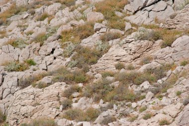Hırvatistan Pag Island üzerinde kayalık vahşi