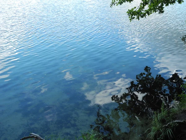 Superficie dell'acqua di un lago con riflessi di un cielo poco nuvoloso, azzurro - e alcune foglie — Foto Stock