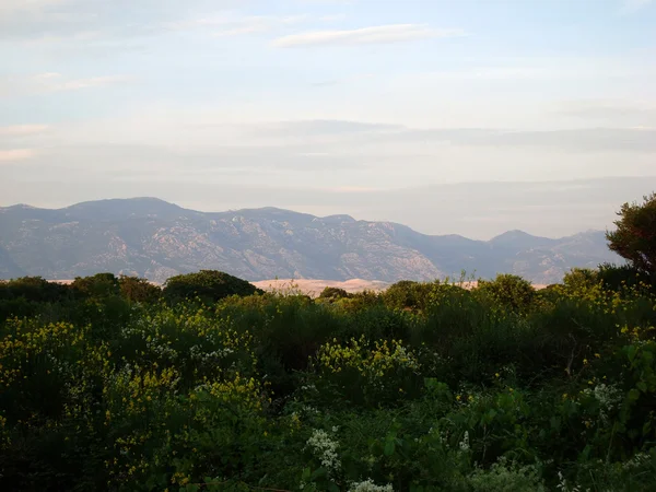 The isle pag in croatia — Stock Photo, Image