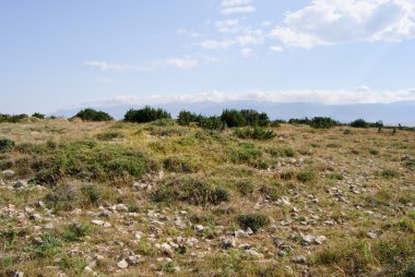 vahşi Hırvatistan Island pag