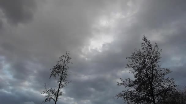 Imagens de tempo-lapso de nuvens escuras que se movem através do céu e árvores nuas — Vídeo de Stock