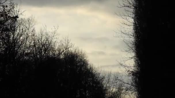 Imagens de tempo-lapso de nuvens escuras que se movem através do céu e árvores nuas — Vídeo de Stock