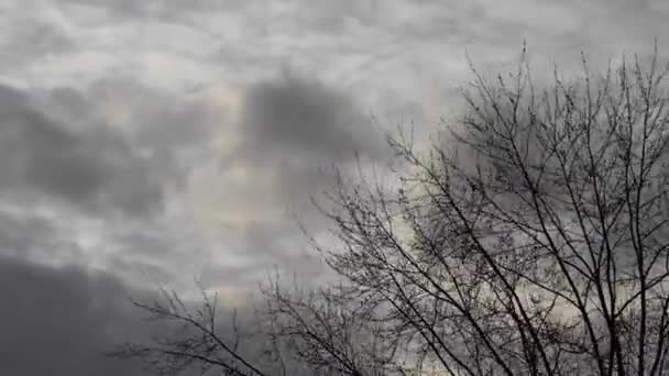 Imágenes de lapso de tiempo de nubes oscuras moviéndose a través del cielo y árboles desnudos — Vídeos de Stock