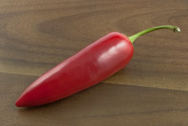 Hot chili pepper — Stock Photo, Image