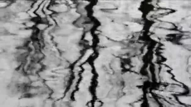Отражения деревьев на волнах воды — стоковое видео
