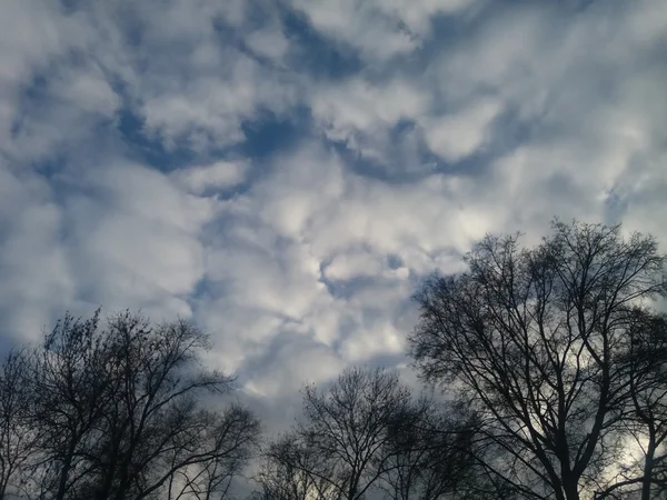 Голубые и серые облака в голубом небе и голые деревья — стоковое фото