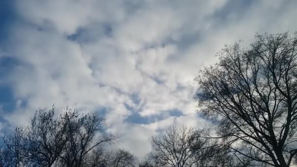 Часовий дріб блакитних і сірих хмар на блакитному небі і листяних деревах — стокове відео