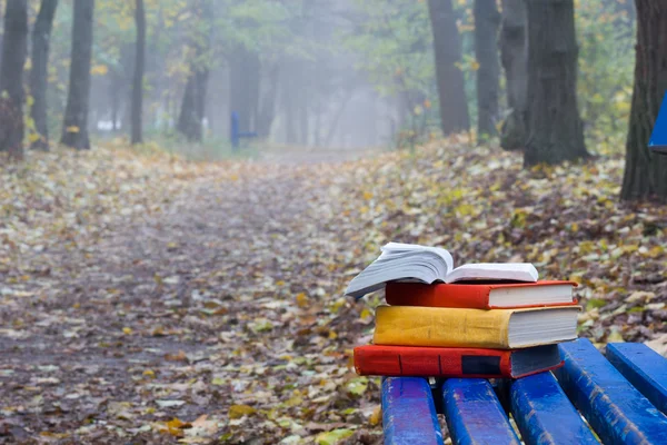 Stack di libro hardback sdraiato su una panchina al tramonto parco sfondo natura offuscata . — Foto Stock