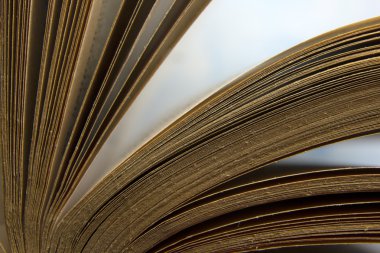 Kitap sayfaları makro görünümü. Tonlu görüntü. Metin için yer kopyalayın