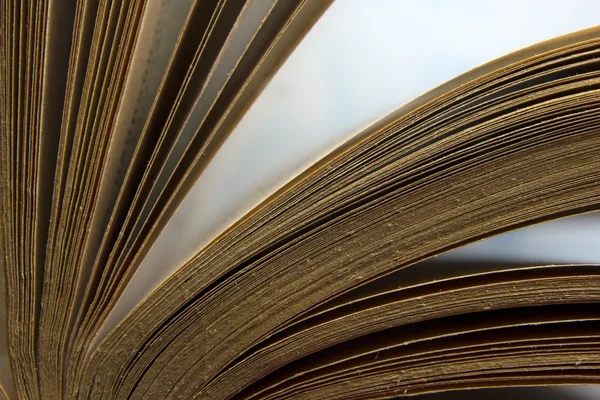 Kitap sayfaları makro görünümü. Tonlu görüntü. Metin için yer kopyalayın