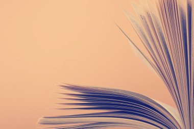 Kitap sayfaları makro görünümü. Tonlu görüntü. Metin için yer kopyalayın