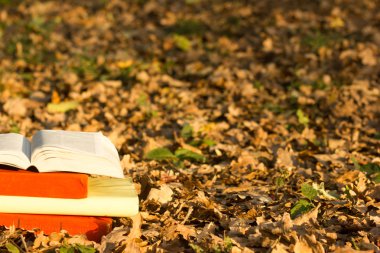 Kitaplar ve bulanık doğa manzara zemin üzerine açık ciltli kitap yığını. Alan, okula geri kopyalayın. Eğitim arka plan.