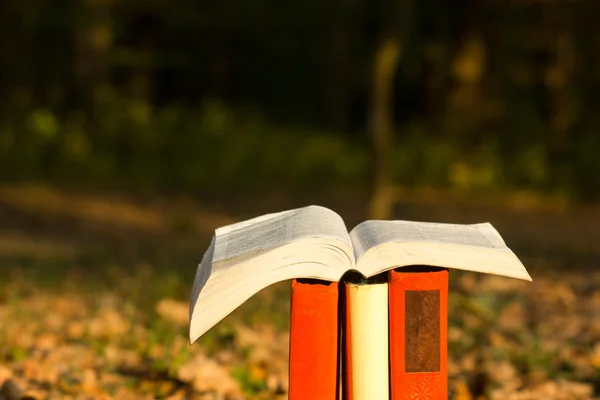 Stapel boeken en Open hardcover boek over wazig natuur landschap achtergrond. Kopieer ruimte, terug naar school. Opleiding. — Stockfoto