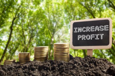 Kar - finansal fırsat kavramı artırın. Toprak kara tahta bulanık doğal zemin üzerine altın sikke