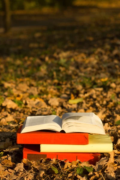Verem a könyvek és a nyitott keménykötésű könyv a homályos természetvédelmi táj hátteret. Másolás tér vissza az iskolába. Oktatási háttér. — Stock Fotó
