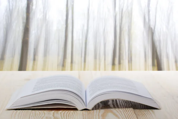 Открытая книга за деревянным столом на естественном размытом фоне — стоковое фото