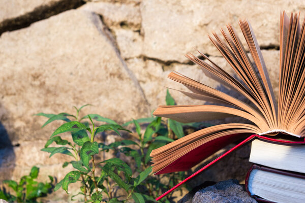 Stack of book and Open hardback book on blurred nature landscape backdrop. Copy space, back to school. Education background.