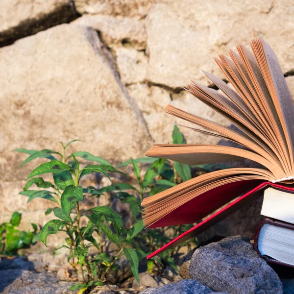 Stack di libro e libro aperto hardback su sfondo paesaggio natura offuscata. Ricevuto, torniamo a scuola. Contesto dell'istruzione . — Foto Stock