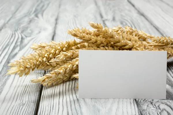 小麦幼穗与空白名片木制的桌子上。束小麦在木材的背景。收获的概念. — 图库照片