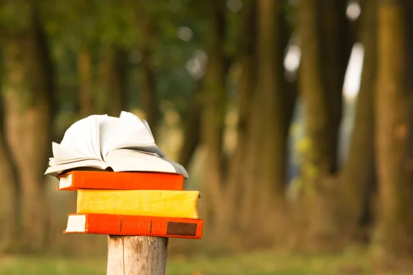 Stack di libro e libro aperto hardback su sfondo paesaggio natura offuscata. Ricevuto, torniamo a scuola. Contesto dell'istruzione . — Foto Stock