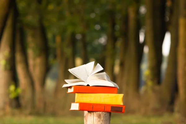 Stack di libro e libro aperto hardback su sfondo paesaggio natura offuscata. Ricevuto, torniamo a scuola. Contesto dell'istruzione . — Foto Stock