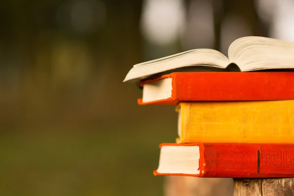 Stack di libro e libro aperto hardback su sfondo paesaggio natura offuscata. Ricevuto, torniamo a scuola. Contesto dell'istruzione . — Foto Stock